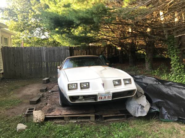 Trans Am Pace Car for sale in Charlton, MA – photo 3