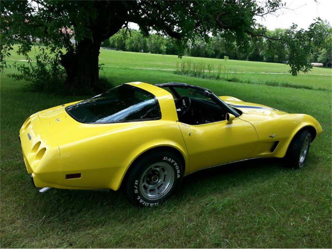 1979 Chevrolet Corvette for sale in Cadillac, MI – photo 2