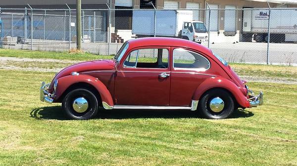 1967 Volkswagen Beetle all original "NO MARKETERS" for sale in Blaine, WA – photo 7