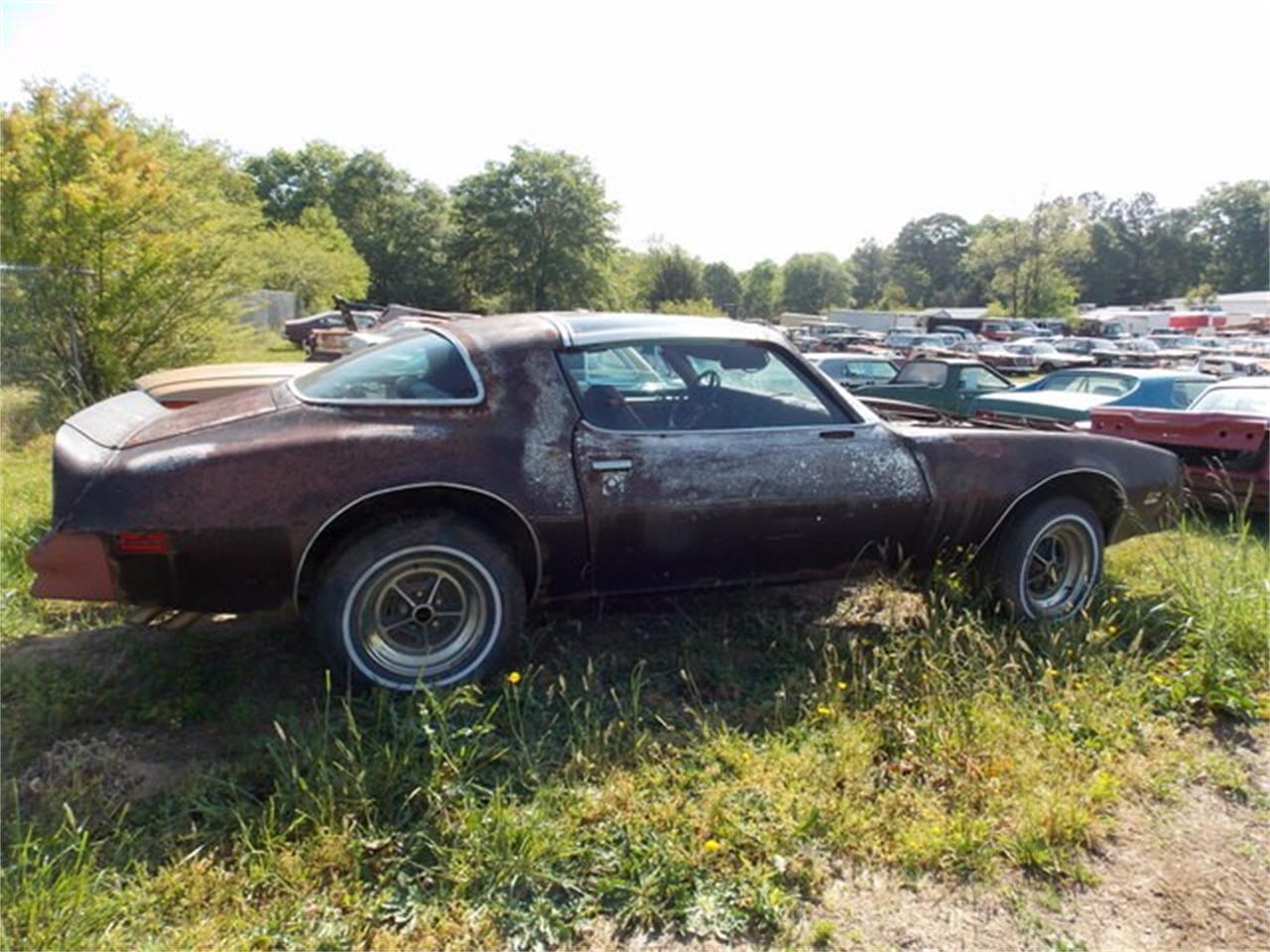 1978 Pontiac Firebird for sale in Gray Court, SC – photo 7