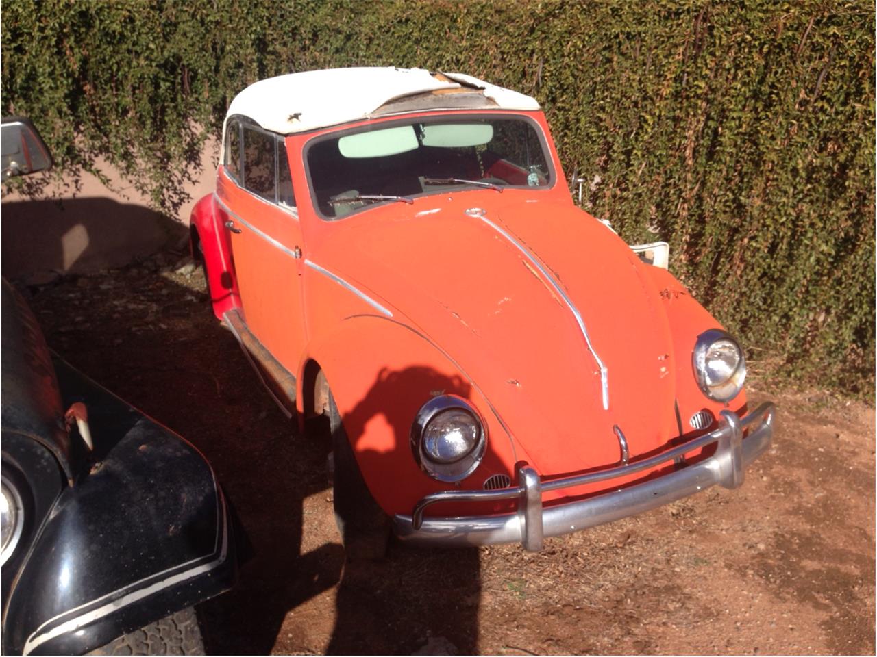 1963 Volkswagen Convertible for sale in Sierra Vista, AZ – photo 2