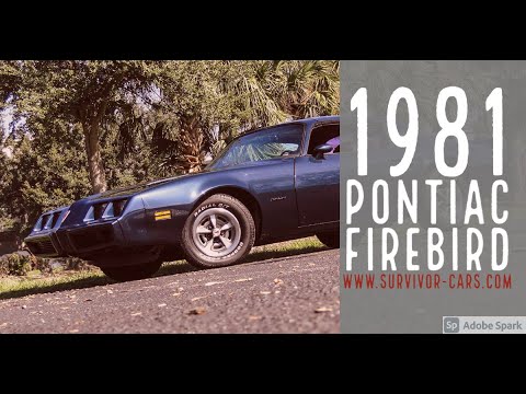 1981 Pontiac Firebird for sale in Palmetto, FL – photo 2