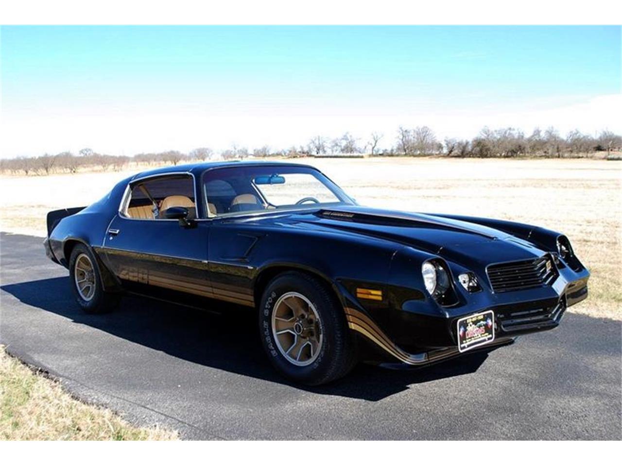 1981 Chevrolet Camaro for sale in Fredericksburg, TX – photo 10