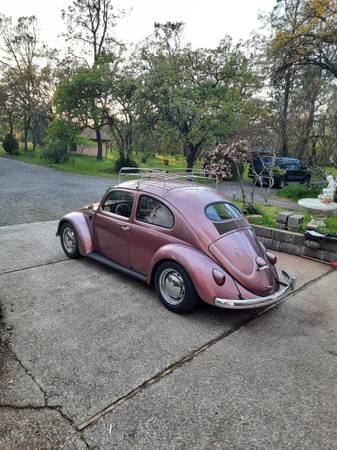 1957 VW Beetle Bug Oval Window Runs and Looks Great 1600 D P - cars for sale in Oroville, CA – photo 2
