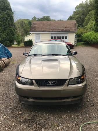 2002 Ford Mustang for sale in Easton, PA – photo 7