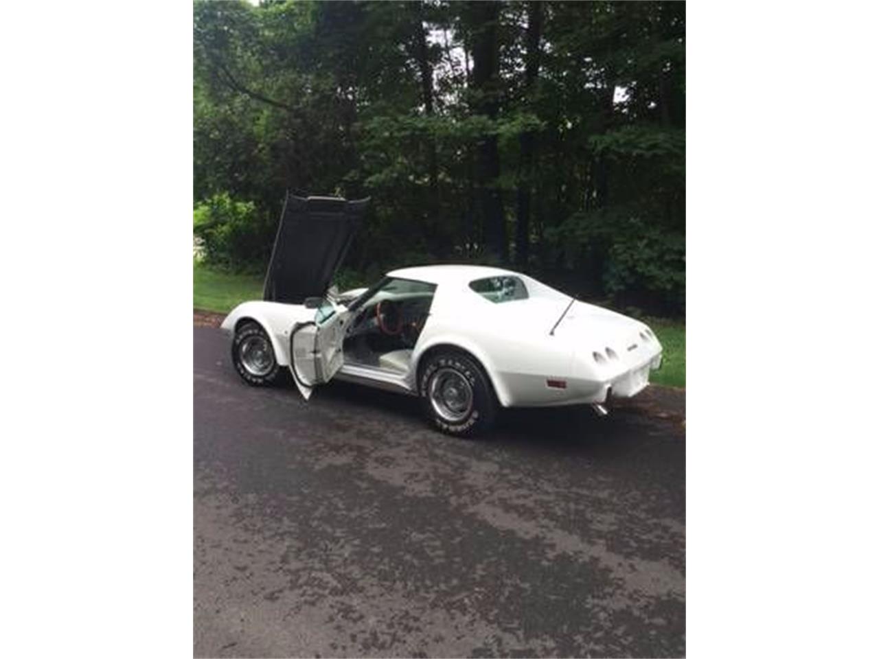 1977 Chevrolet Corvette for sale in Cadillac, MI – photo 7