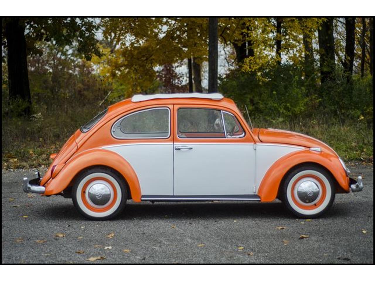 1965 Volkswagen Beetle for sale in Indianapolis, IN – photo 16