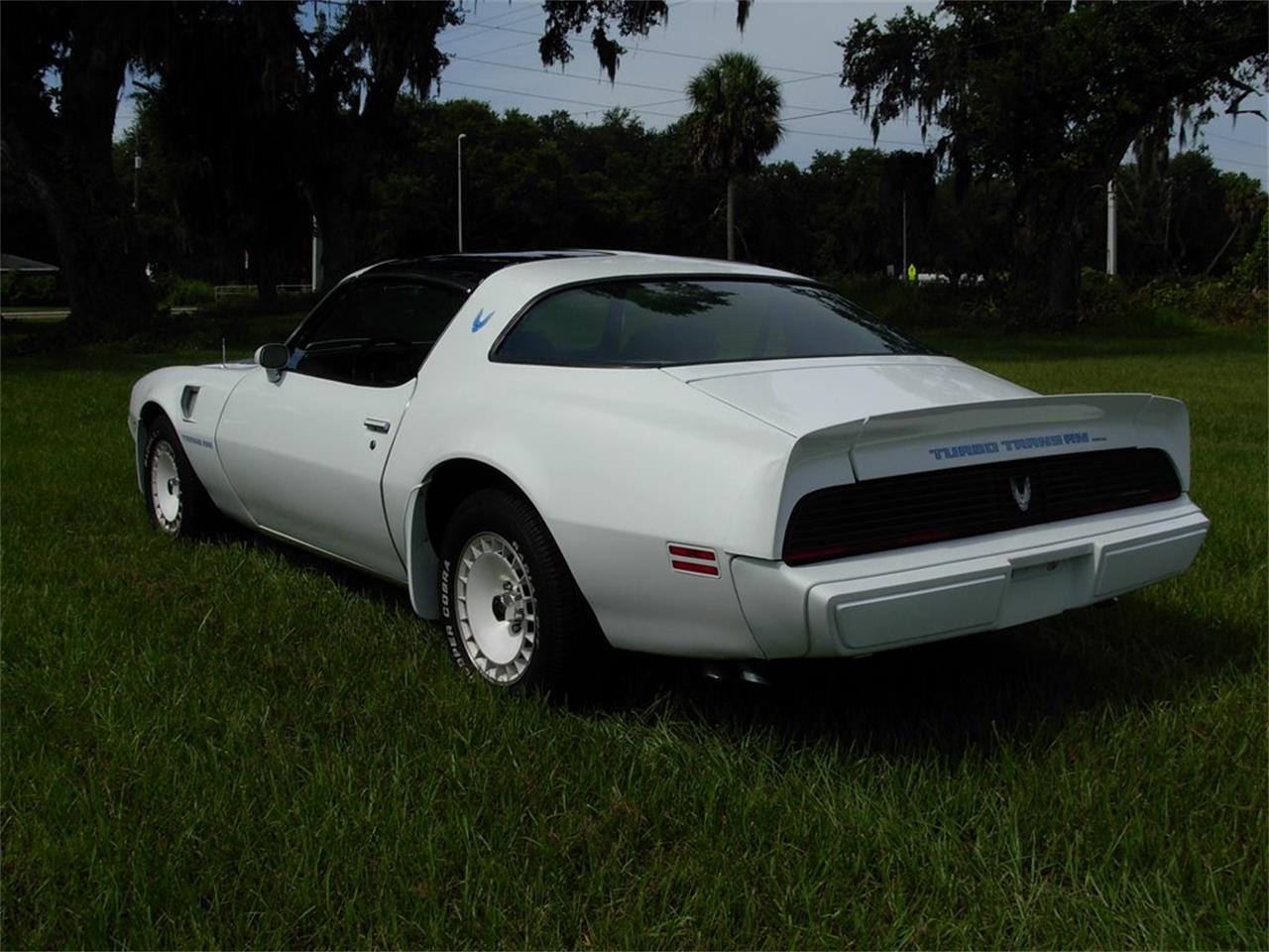 1981 Pontiac Firebird for sale in Palmetto, FL – photo 5