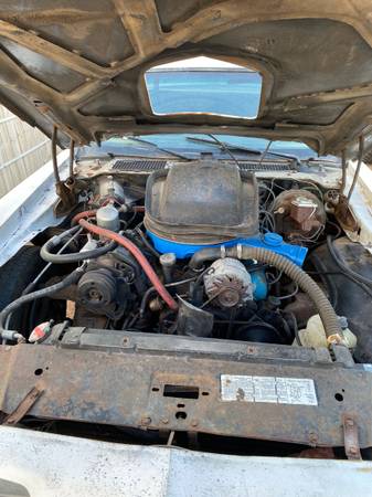 1979 firebird Trans Am for sale in Other, NM – photo 4