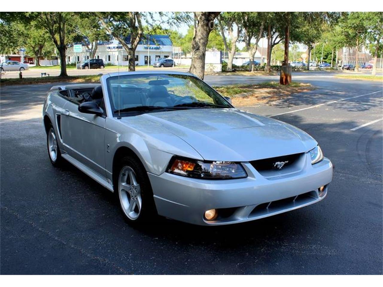 2001 Ford Mustang SVT Cobra for sale in Clearwater, FL – photo 18