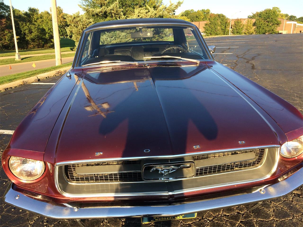 1967 Ford Mustang for sale in Ann Arbor, MI