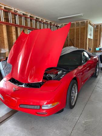 2001 Corvette Convertible for sale in Charleston, SC – photo 3