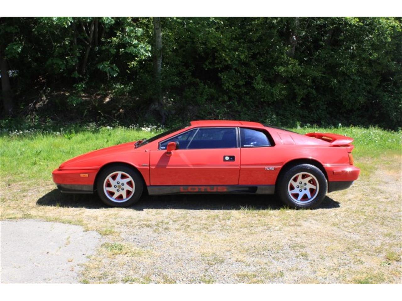 For Sale at Auction: 1989 Lotus Esprit for sale in Tacoma, WA – photo 11