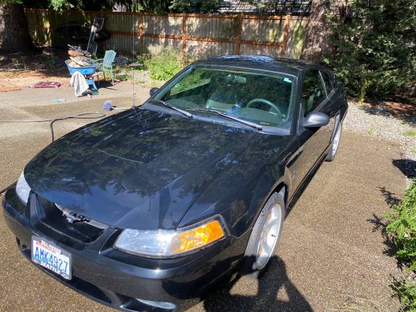 1999 svt cobra muatang - cars & trucks - by owner - vehicle... for sale in Olympia, WA – photo 5