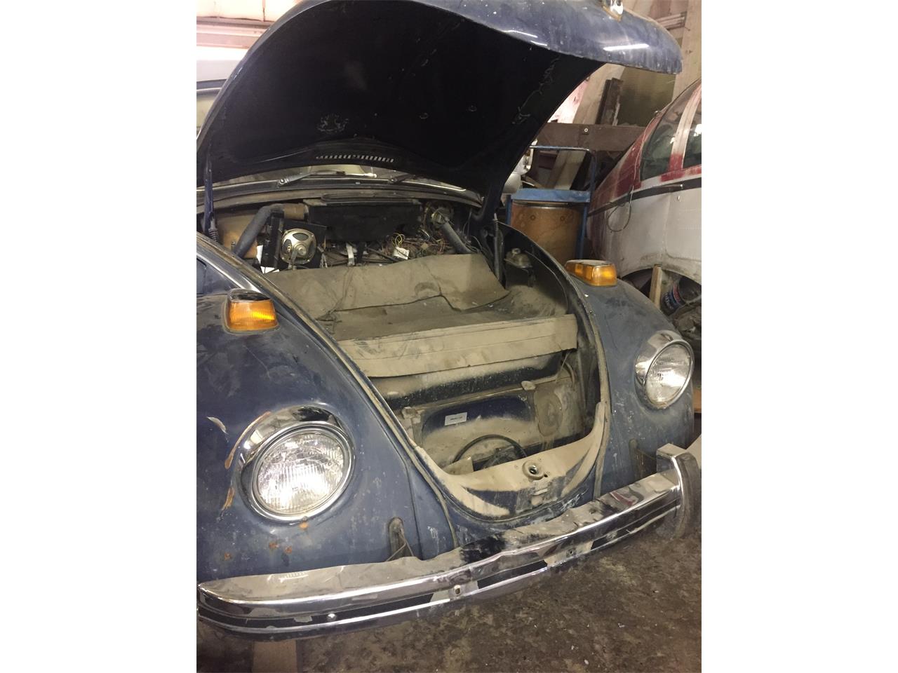 1970 Volkswagen Beetle for sale in Glenwood Springs, CO – photo 3