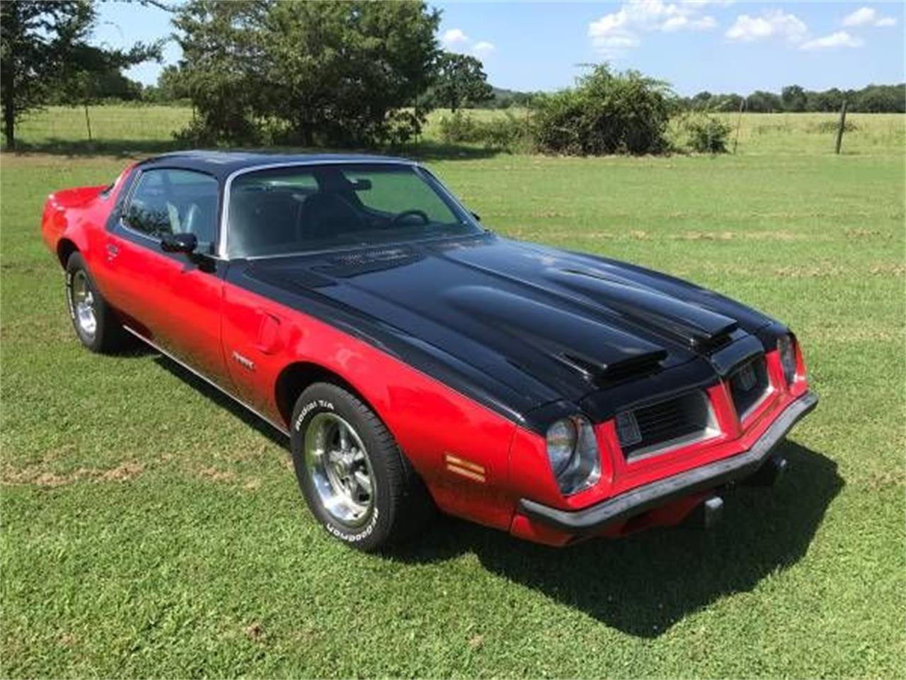 1975 Pontiac Firebird for sale in Cadillac, MI