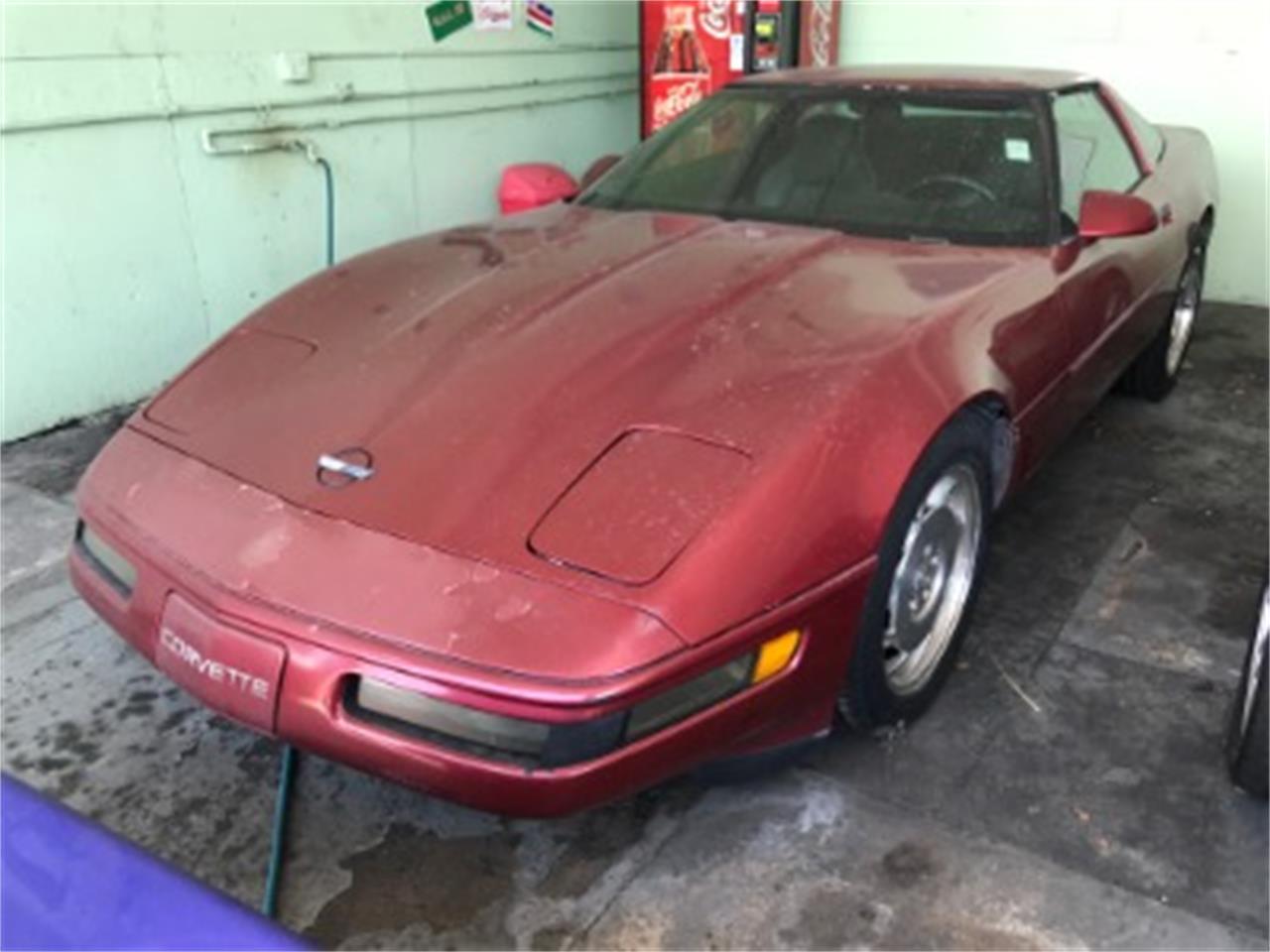 1995 Chevrolet Corvette for sale in Miami, FL