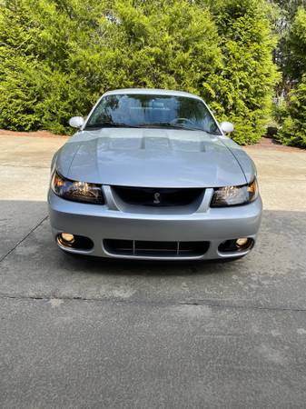 03 Mustang Terminator Cobra for sale for sale in Greenwood, SC – photo 16