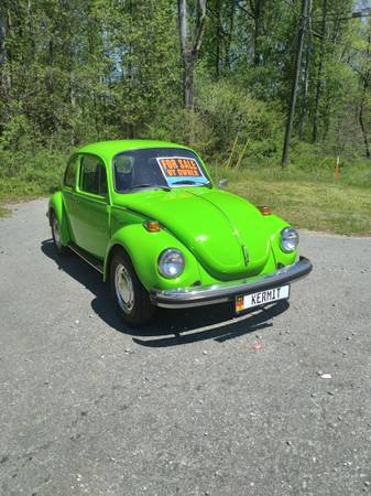 1974 Volkswagen Super Beetle for sale in Gillsville, GA – photo 6
