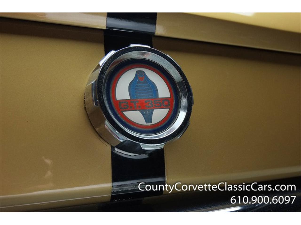1966 Shelby GT for sale in West Chester, PA – photo 18