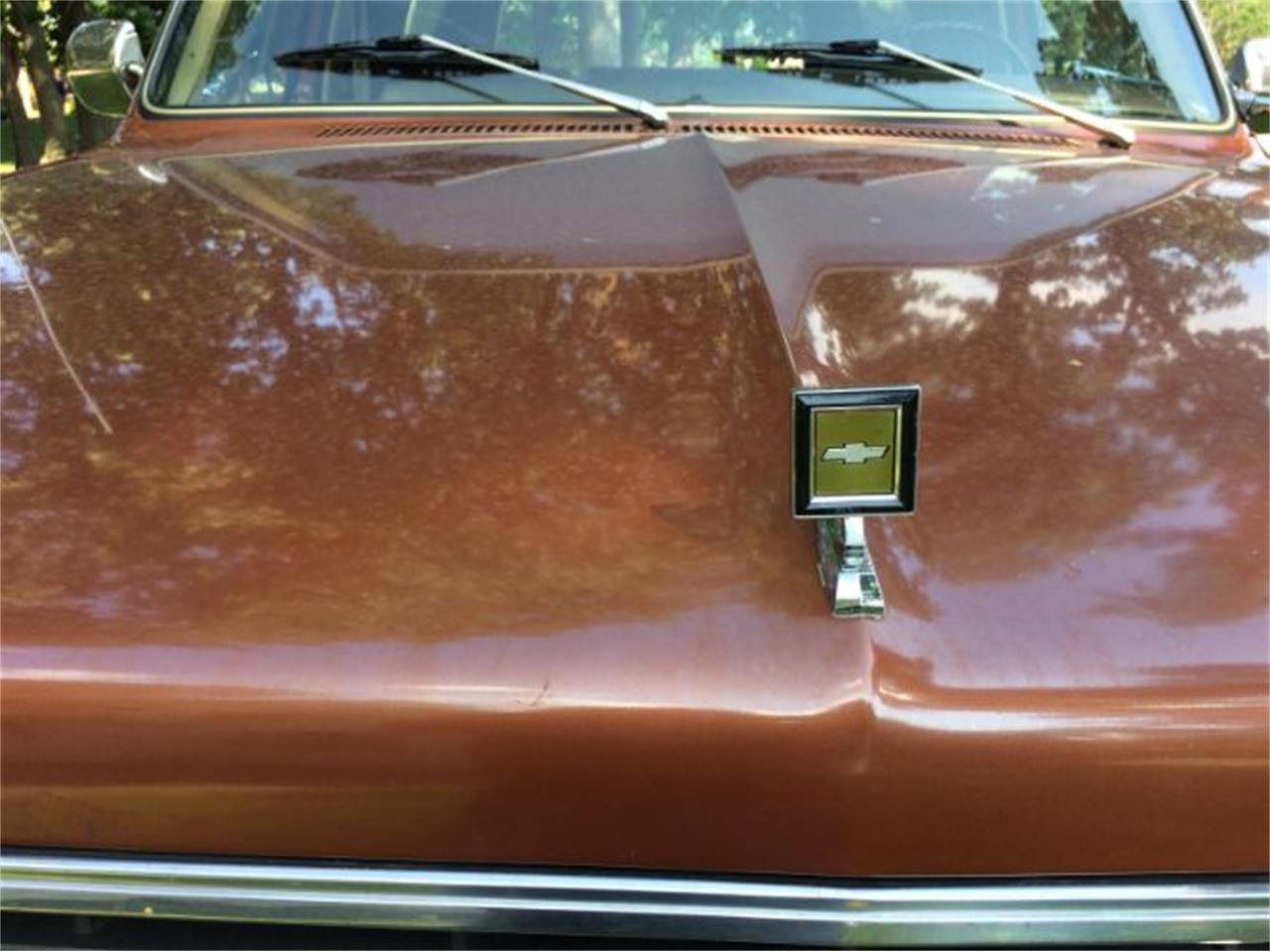 1983 Chevrolet Suburban for sale in Cadillac, MI – photo 3