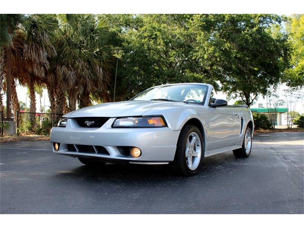 2001 Ford Mustang SVT Cobra for sale in Clearwater, FL – photo 17