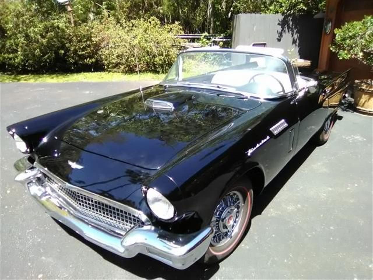 1957 Ford Thunderbird for sale in Cadillac, MI – photo 8