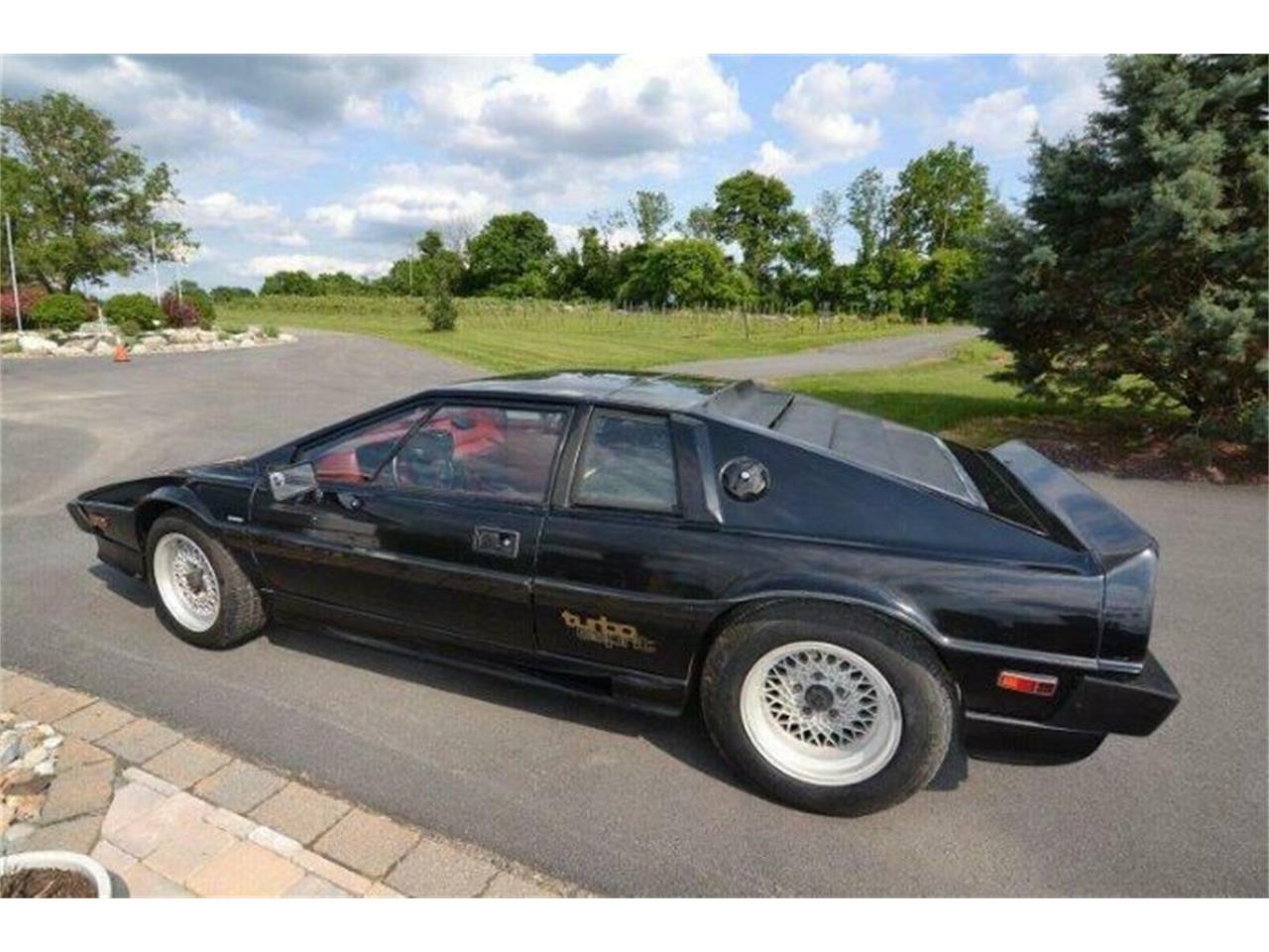1987 Lotus Esprit for sale in Cadillac, MI