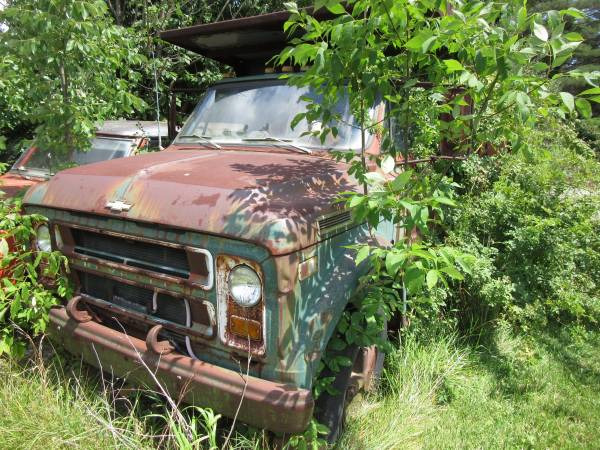 1969 C50 Chevy 2 1/2 ton dump truck (MAKE OFFER) for sale in Brunswick, OH