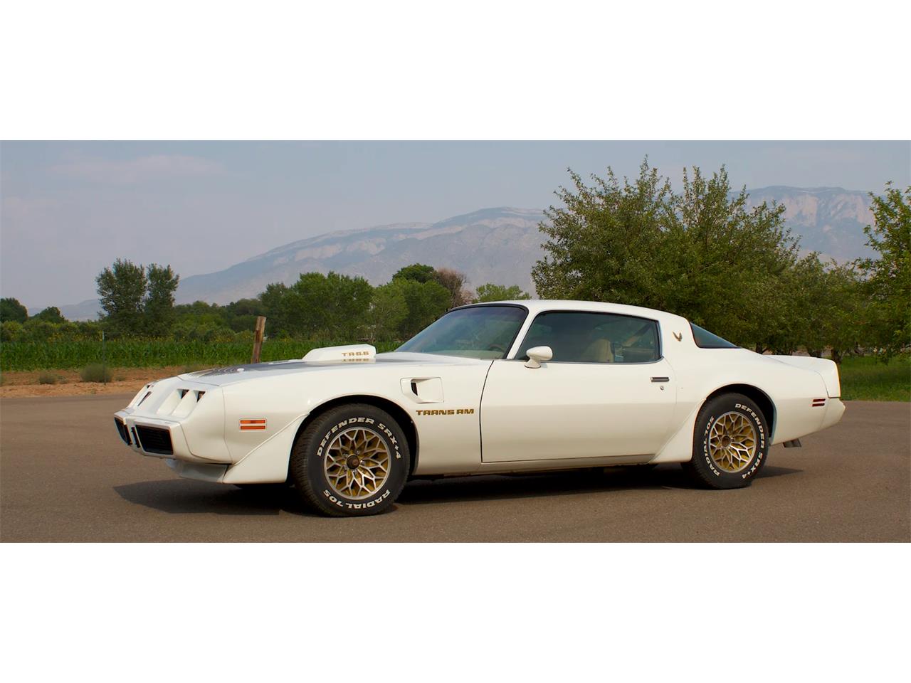 1979 Pontiac Firebird Trans Am for sale in Corrales, NM – photo 6