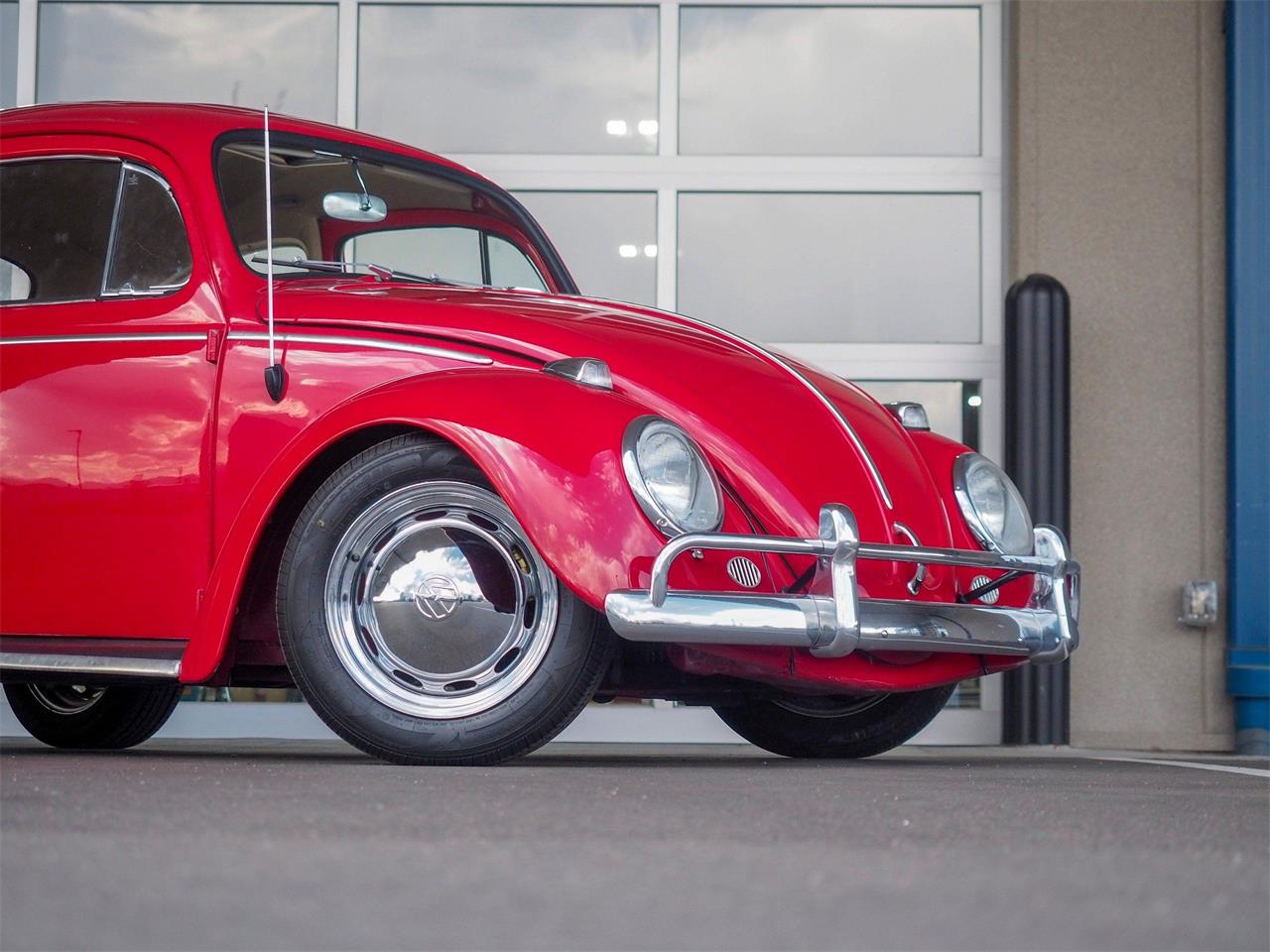1964 Volkswagen Beetle for sale in Englewood, CO – photo 3