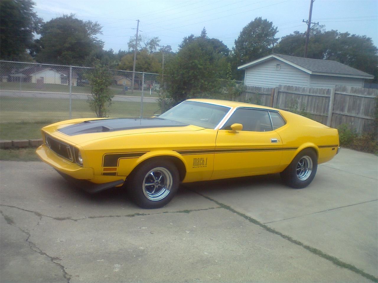 1973 Ford Mustang Mach 1 for sale in ATTICA, IN – photo 2