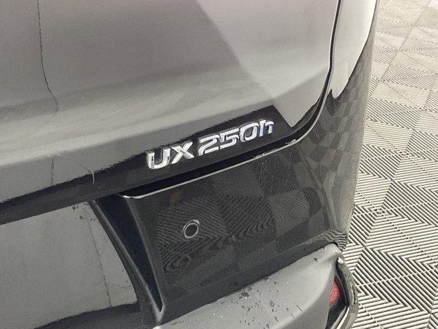 2020 Lexus UX 250h F Sport for sale in Davenport, IA – photo 27