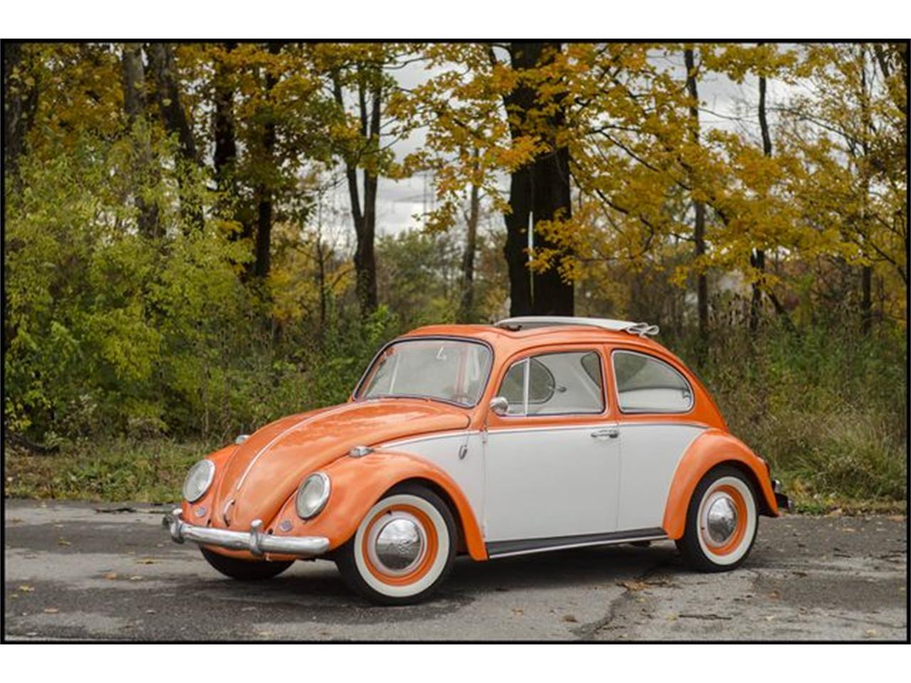 1965 Volkswagen Beetle for sale in Indianapolis, IN – photo 34