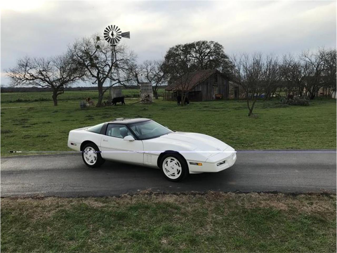 1988 Chevrolet Corvette for sale in Fredericksburg, TX – photo 13