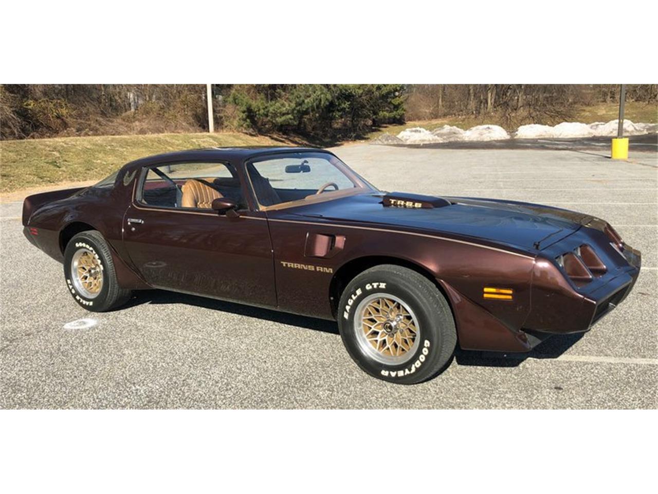 1979 Pontiac Firebird Trans Am for sale in West Chester, PA – photo 5