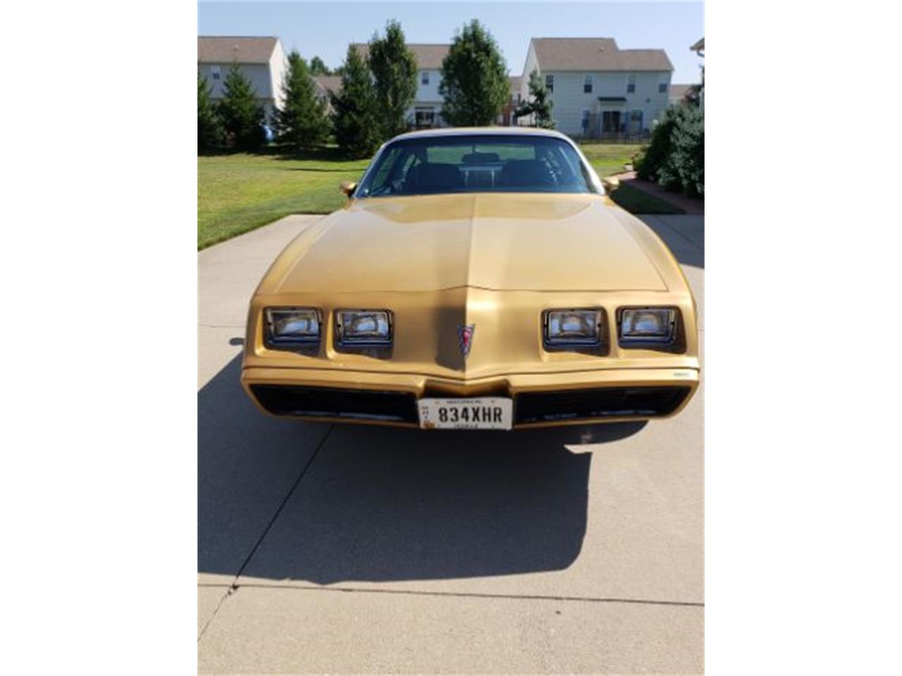 1979 Pontiac Firebird for sale in Cadillac, MI