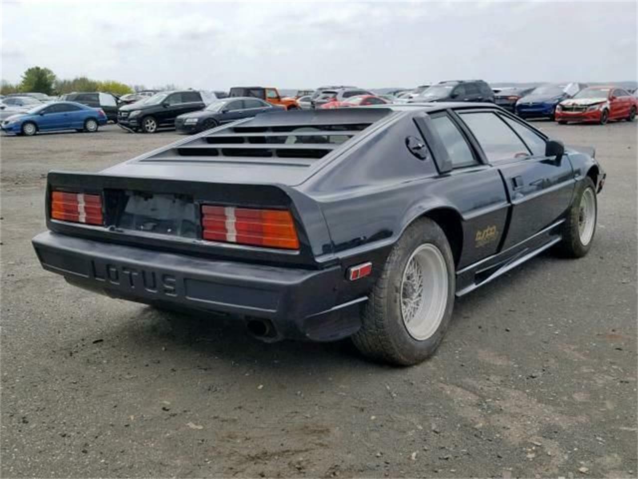 1987 Lotus Esprit for sale in Cadillac, MI – photo 6