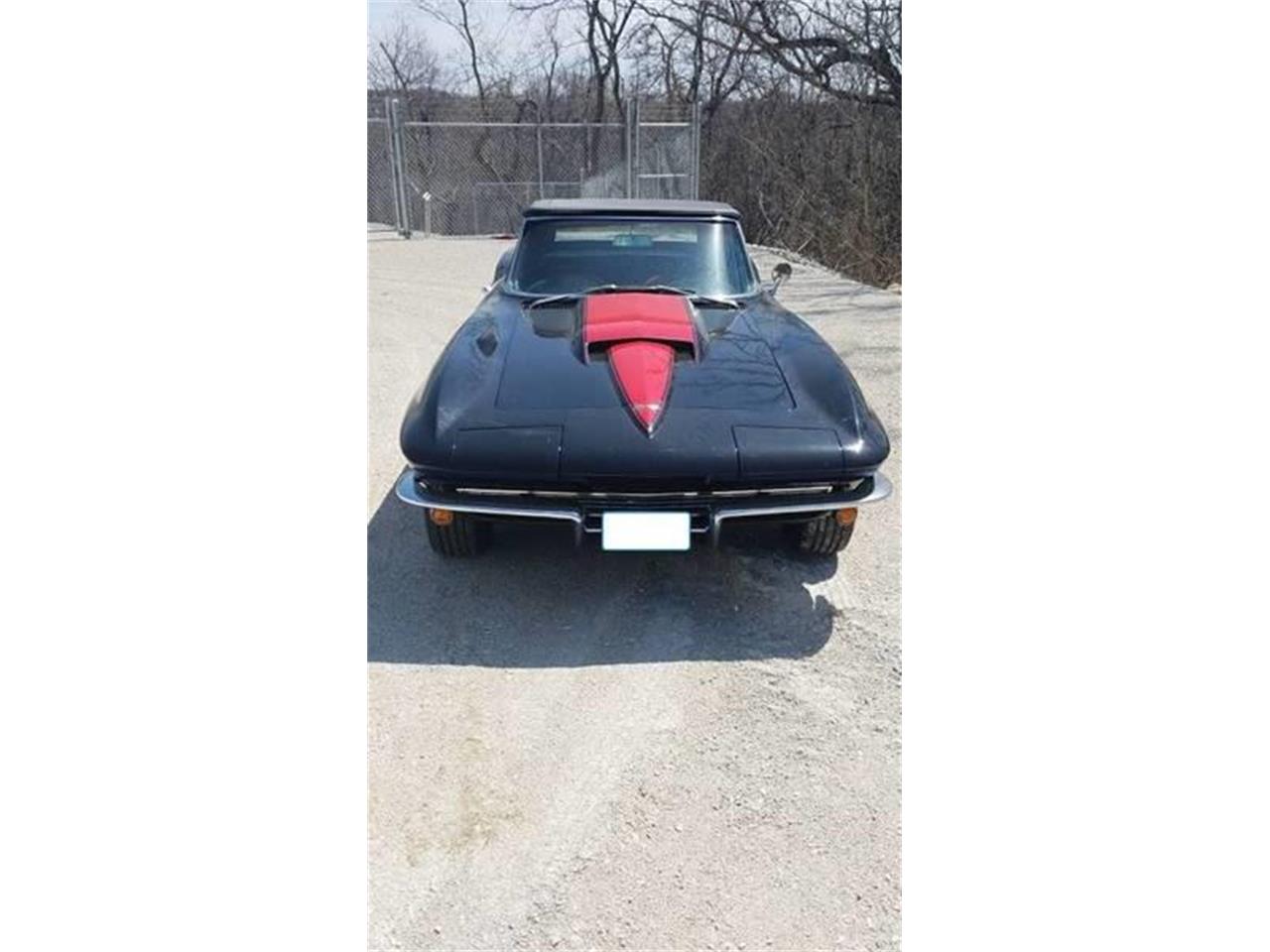 1967 Chevrolet Corvette for sale in Long Island, NY – photo 4