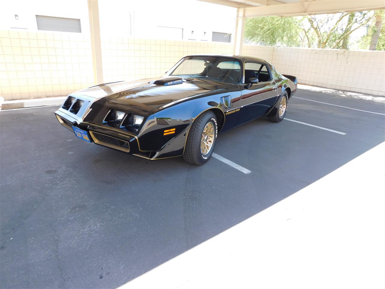 1979 Pontiac TransAm Special Edition SE for sale in Scottsdale, AZ