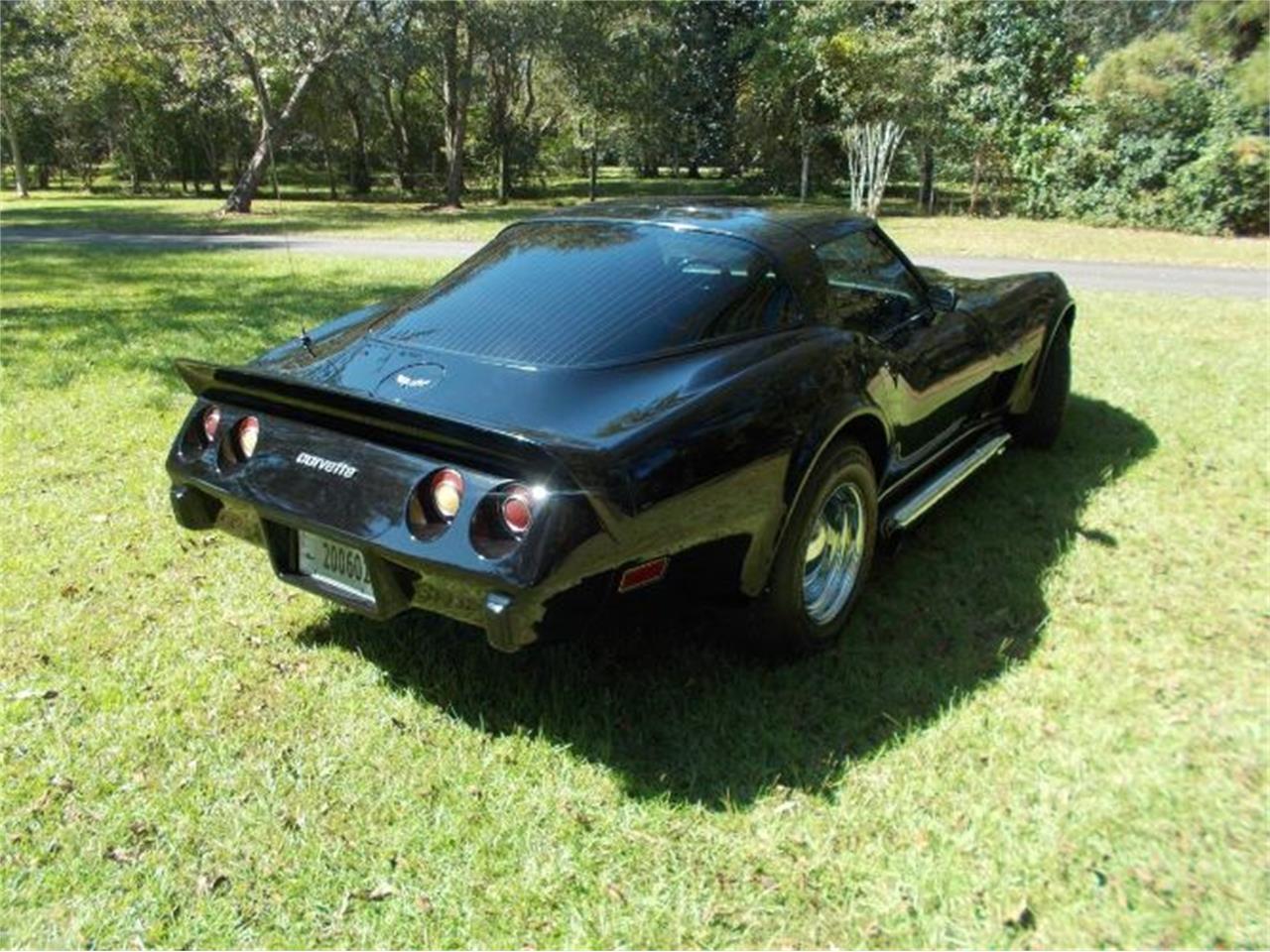 1979 Chevrolet Corvette for sale in Cadillac, MI – photo 4