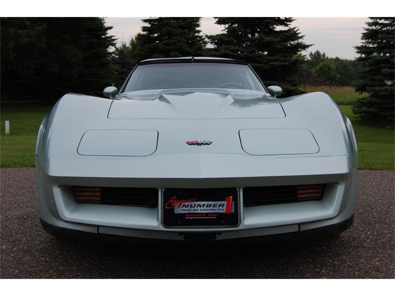 1982 Chevrolet Corvette for sale in Rogers, MN – photo 10