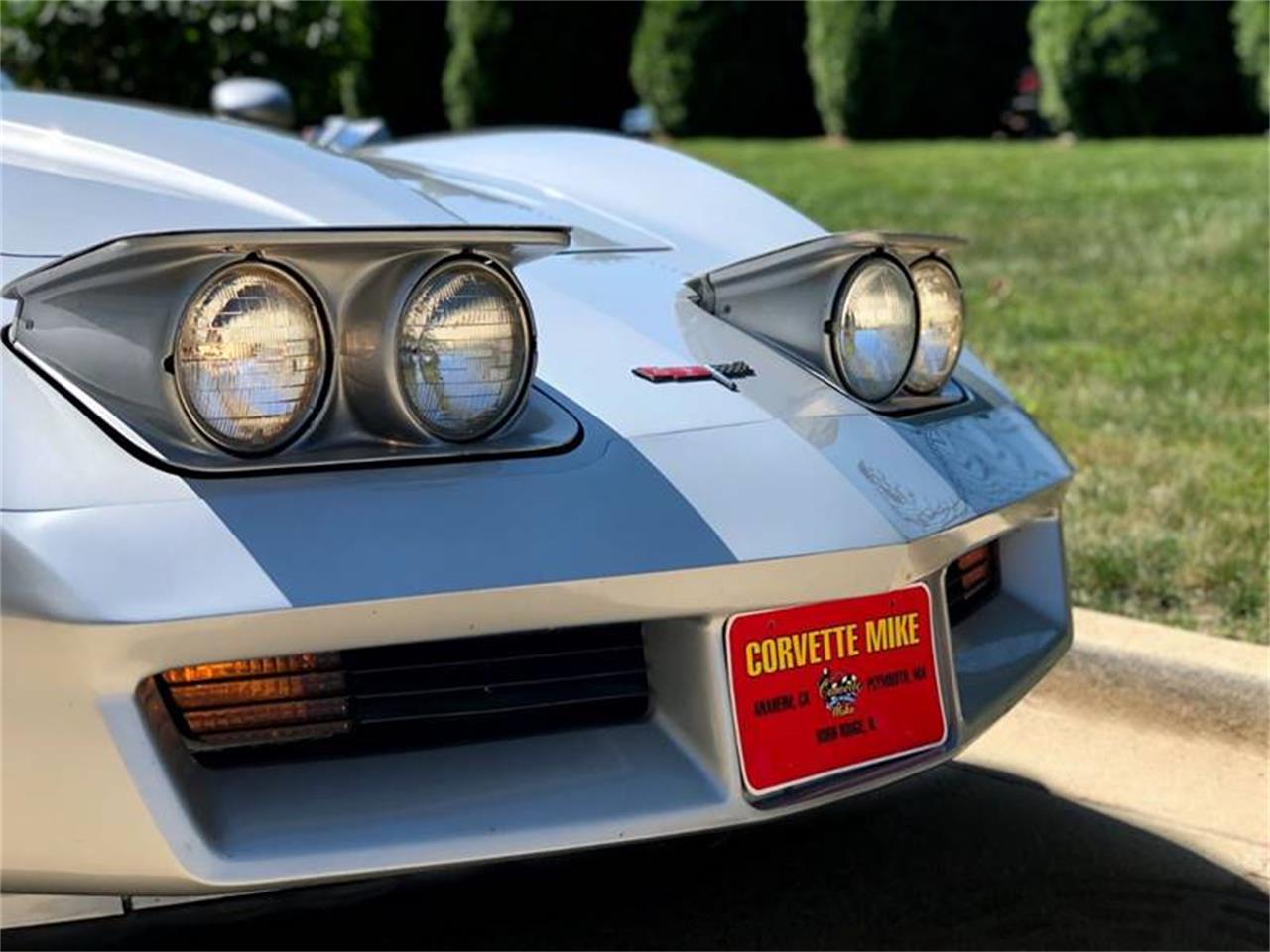 1980 Chevrolet Corvette for sale in Burr Ridge, IL – photo 10