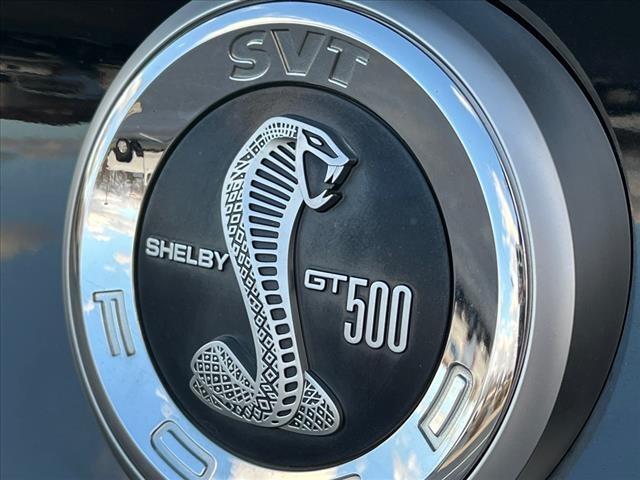 2010 Ford Shelby GT500 Base for sale in Other, IL – photo 3