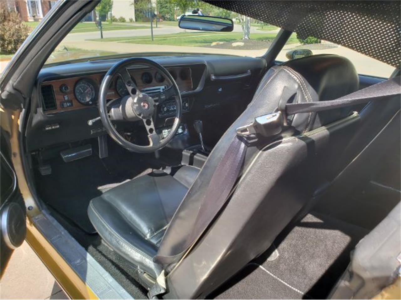 1979 Pontiac Firebird for sale in Cadillac, MI – photo 17