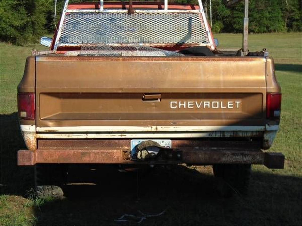 1973 Chevrolet C20 for sale in Cadillac, MI – photo 3
