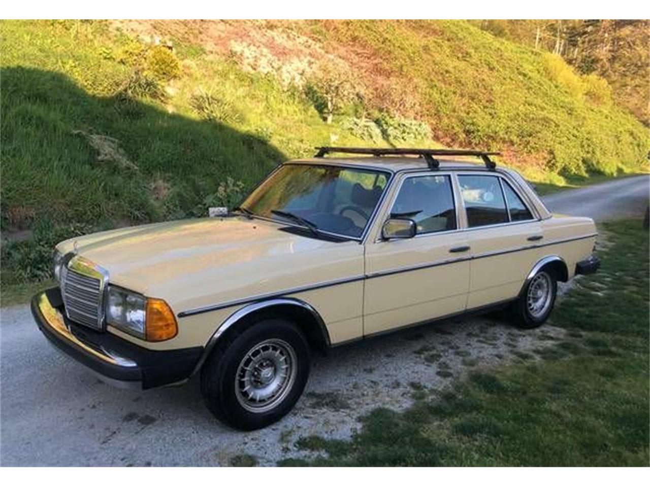 1979 Mercedes-Benz 240D for sale in Cadillac, MI
