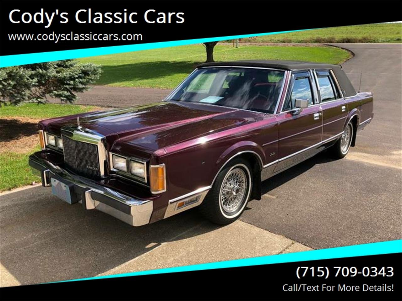 1989 Lincoln Town Car for sale in Stanley, WI – photo 2