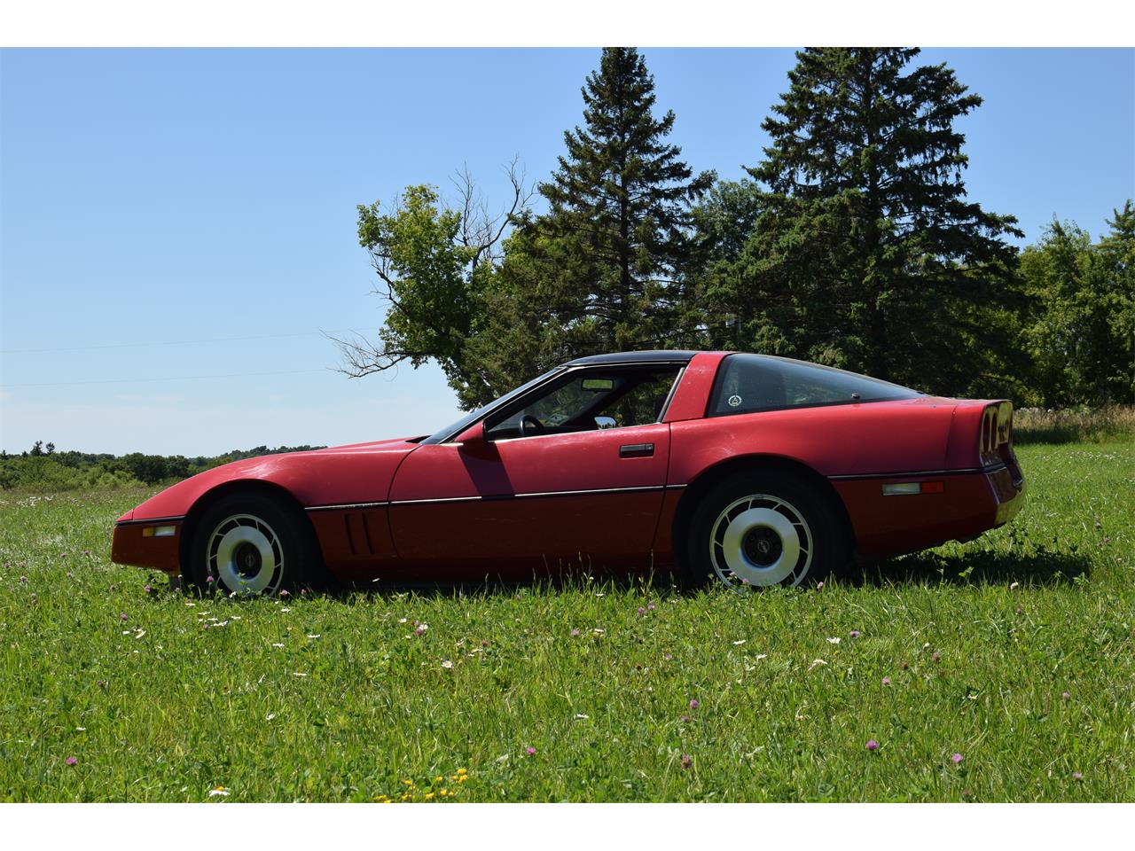 1984 Chevrolet Corvette for sale in Watertown, MN – photo 3