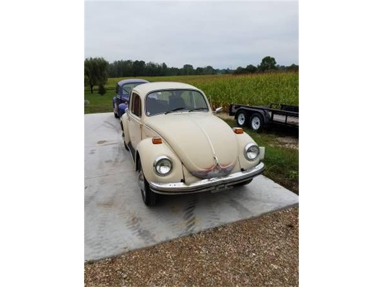 1971 Volkswagen Beetle for sale in Cadillac, MI – photo 5